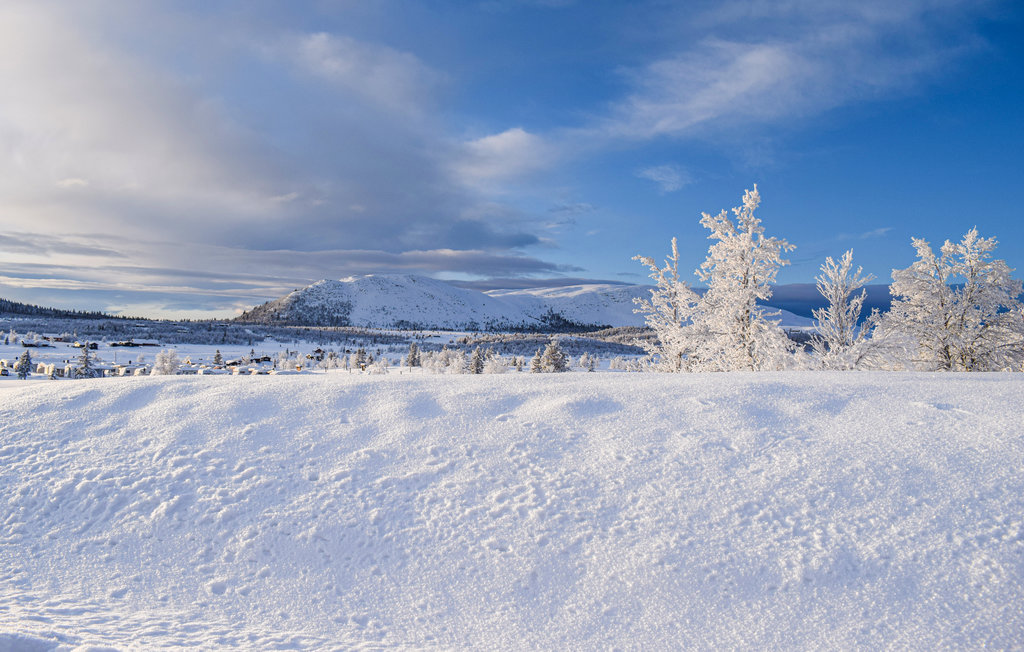 Ferienhaus - Venabygdsfjellet/Ringebu , Norwegen - N31355 19