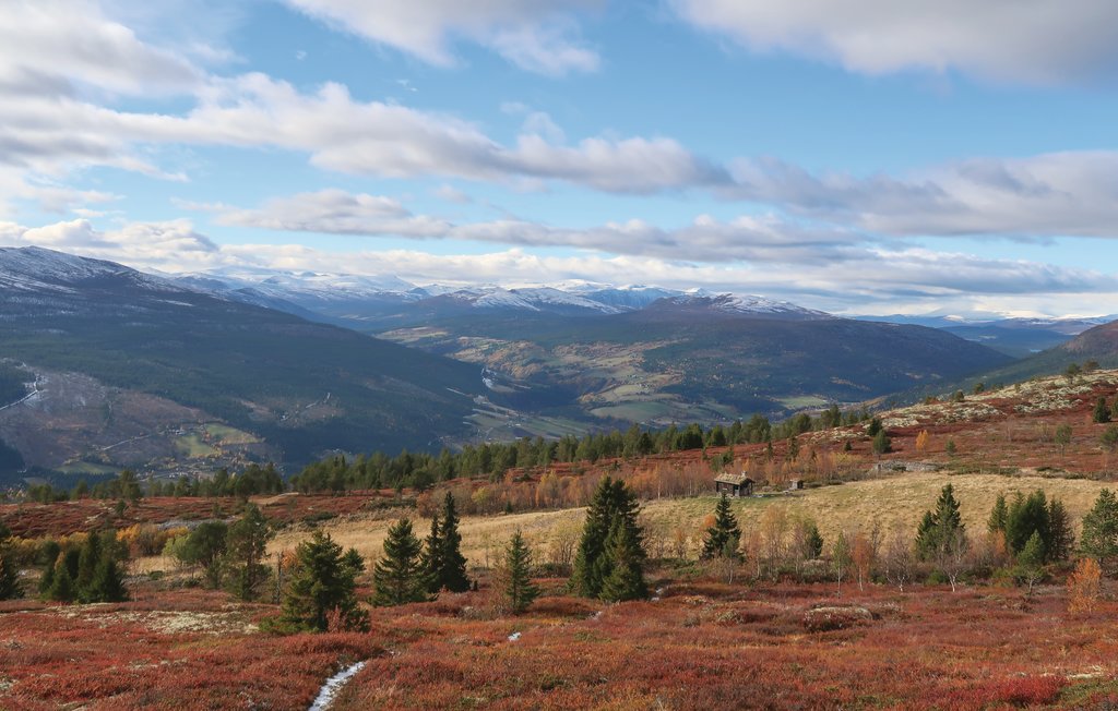 Feriehuse - Bakketun Heidal , Norge - N31130 40