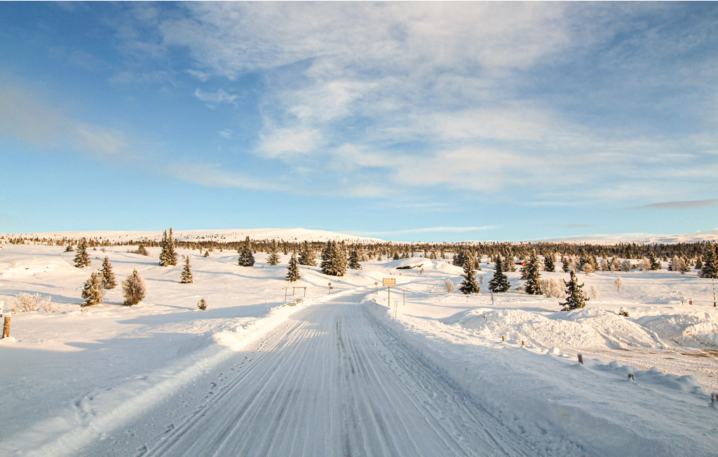 Feriehuse - Ringebu , Norge - N31861 30