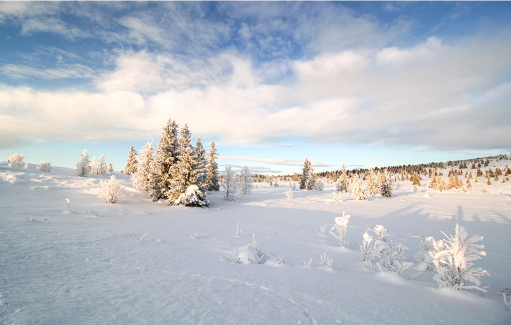 Feriehuse - Ringebu , Norge - N31862 27