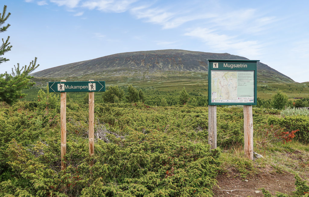 Feriehuse - Bakketun Heidal , Norge - N31130 45