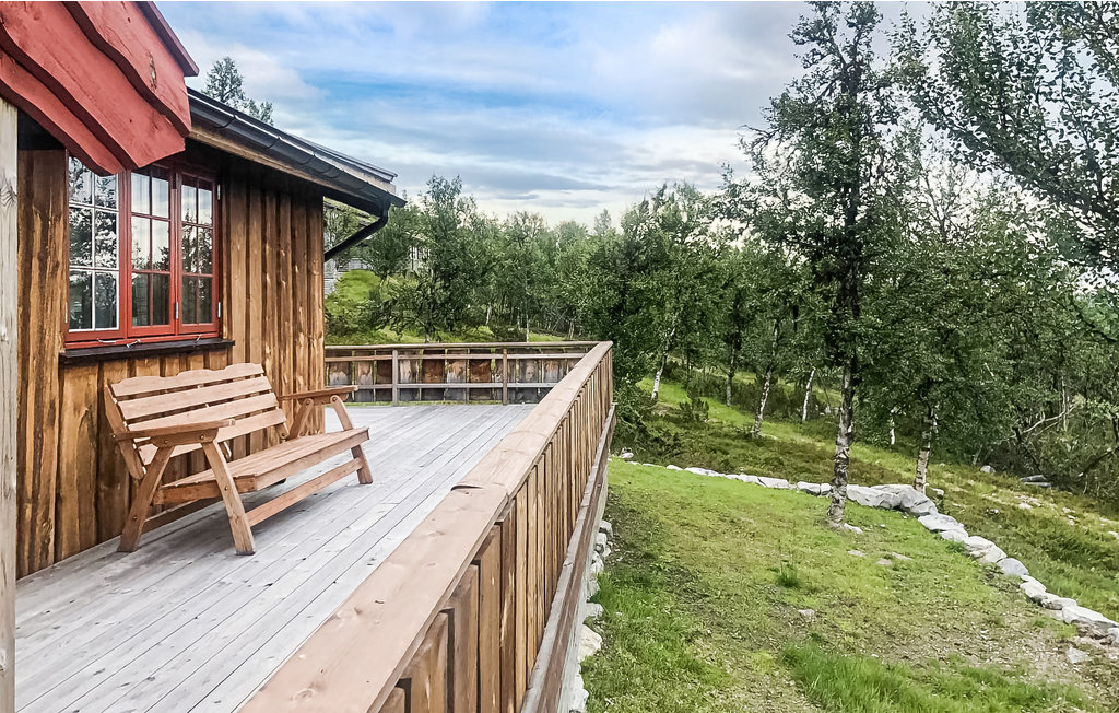 Ferienhaus - Venabygdsfjellet/Ringebu , Norwegen - N31355 6