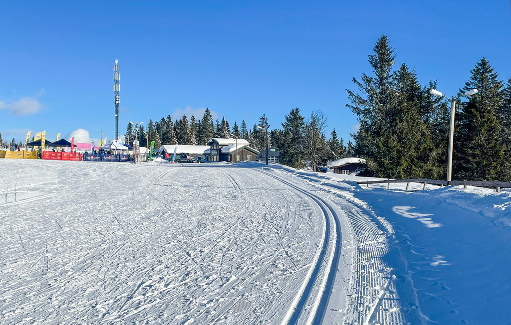 Ferienwohnung - Nordseter/Lillehammer/Sjusjøen , Norwegen - N31830 9