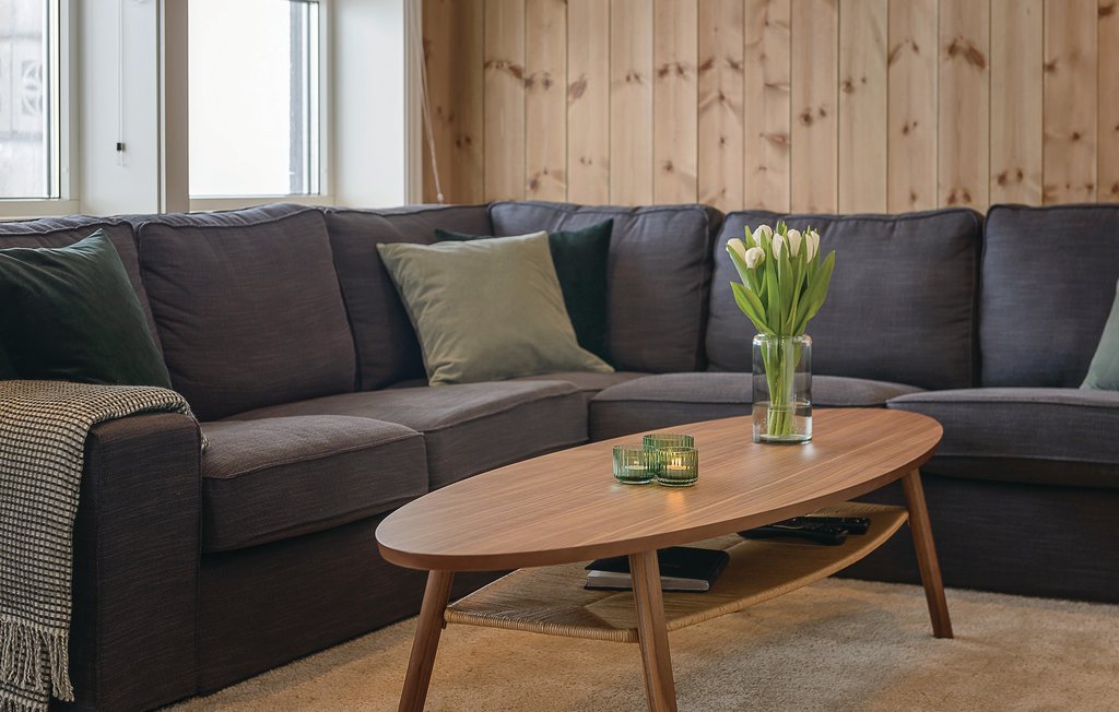 Semesterlägenhet - Sjusjøen , Norge - N31962 4