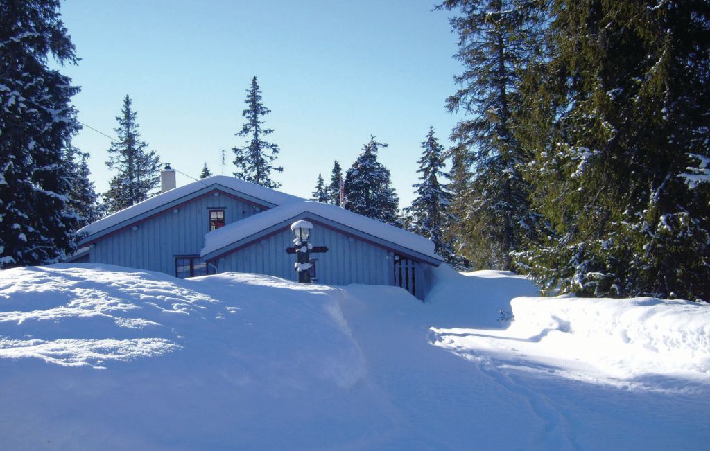 Feriehuse - Sjusjøen , Norge - N31308 9