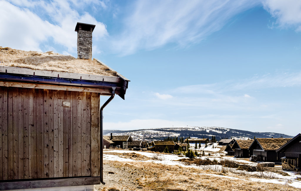 Ferienhaus - Hafjell , Norwegen - N31613 7
