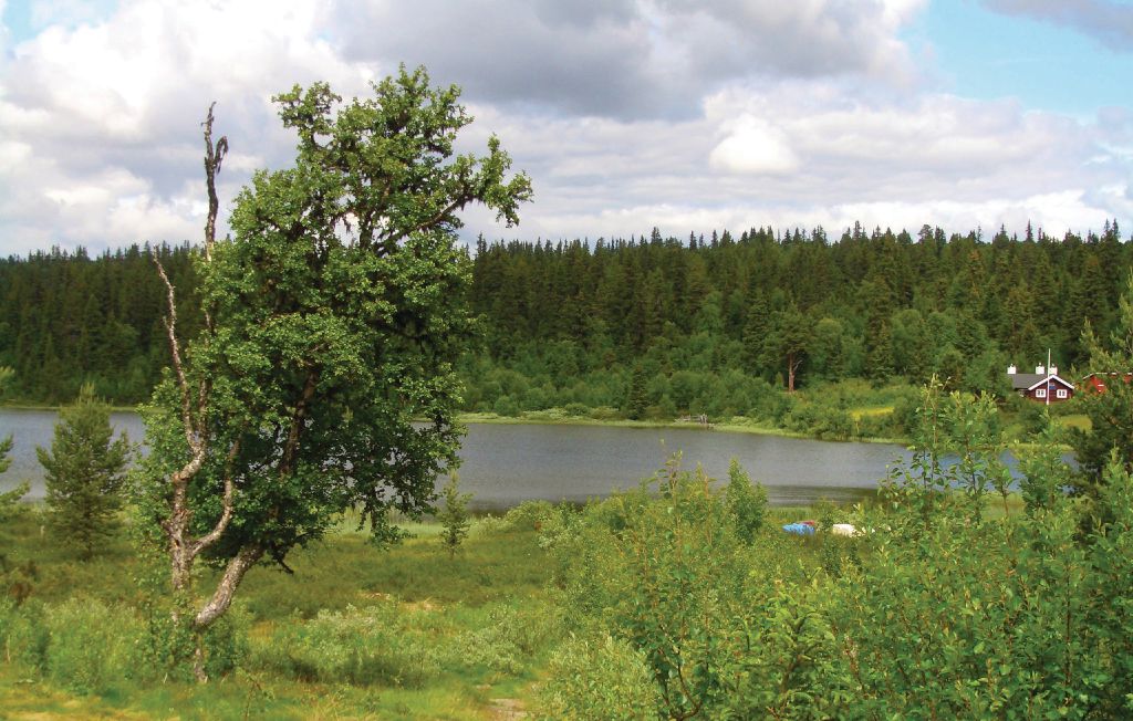 Feriehuse - Ringebu , Norge - N31862 3