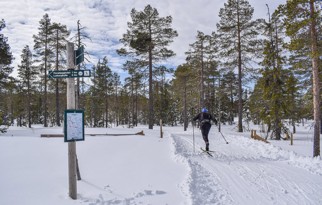 Feriehuse - Lygna , Norge - N31218 5