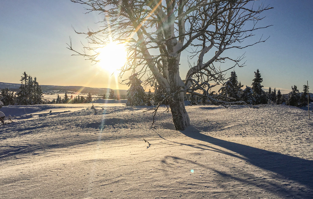 Feriehuse - Nordseter/Lillehammer/Sjusjøen , Norge - N31848 28