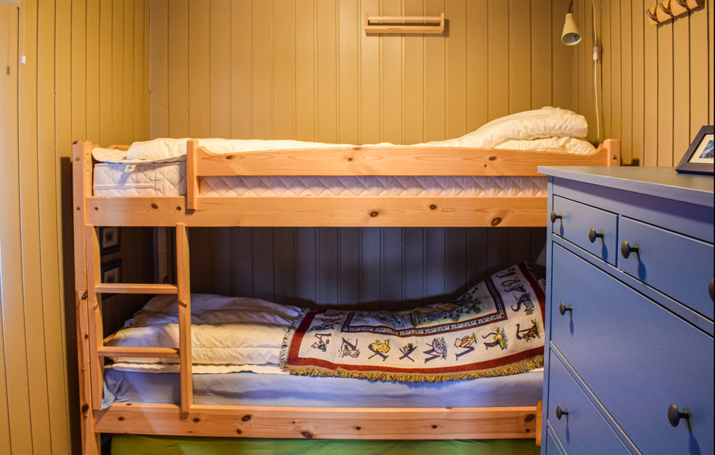 Feriehuse - Sjusjøen , Norge - N31929 13