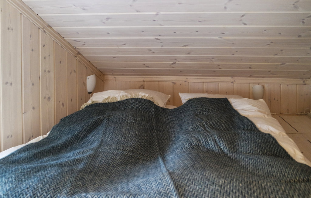 Feriehus - Nordseter/Lillehammer/Sjusjøen , Norge - N31960 18