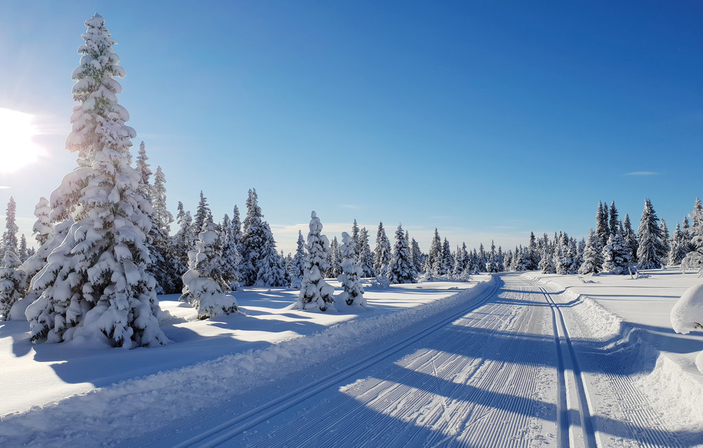 Feriehuse - Sjusjøen , Norge - N31990 29
