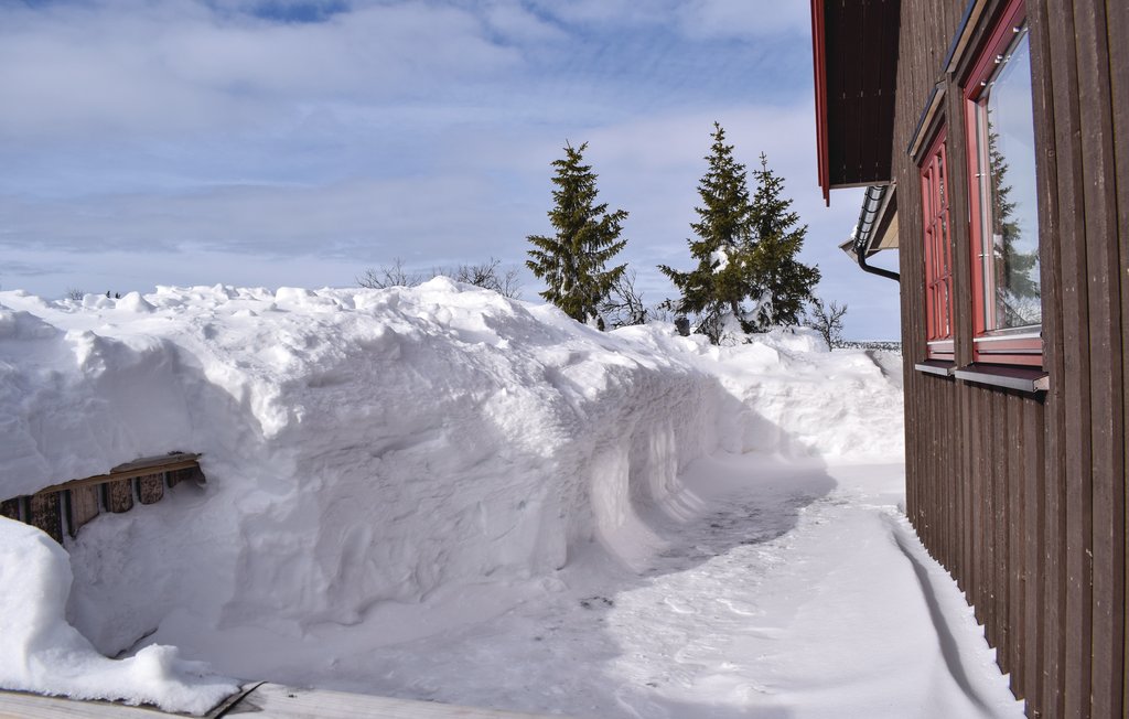 Feriehuse - Sjusjøen , Norge - N31949 12