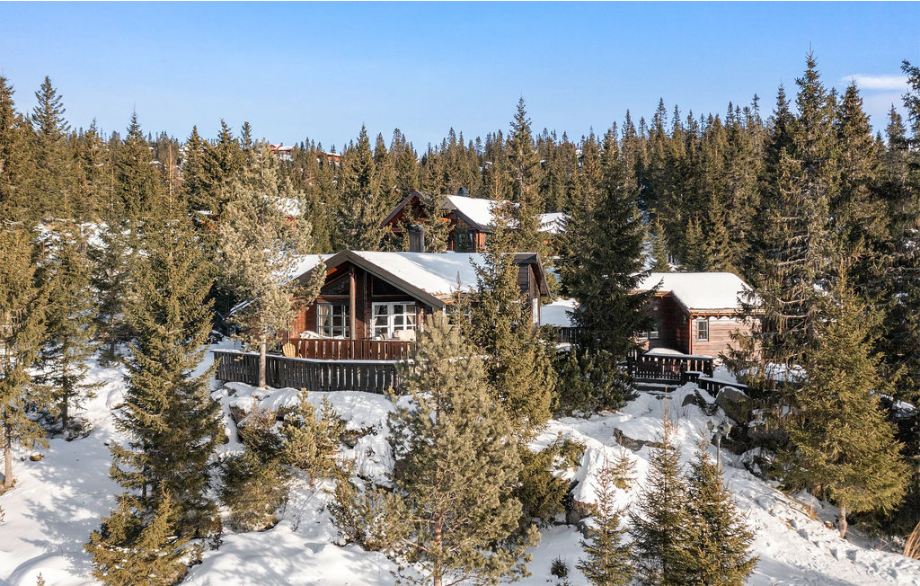 Ferienhaus - Hafjell , Norwegen - N31612 1