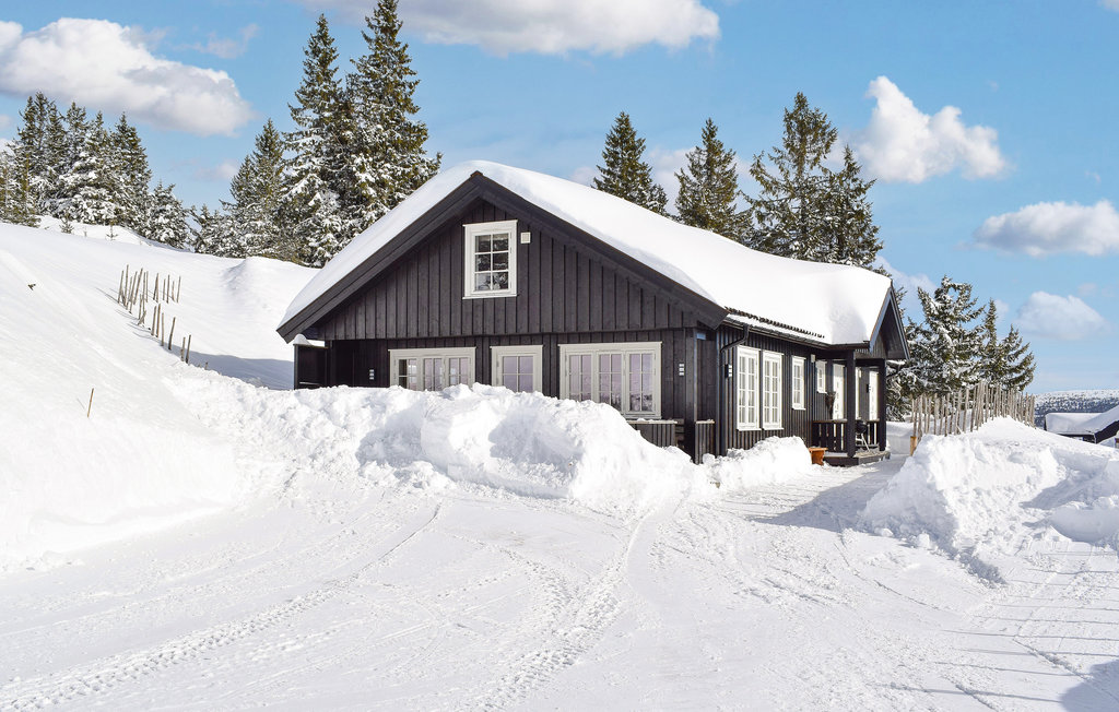 Feriehus - Sjusjøen , Norge - N31928 10