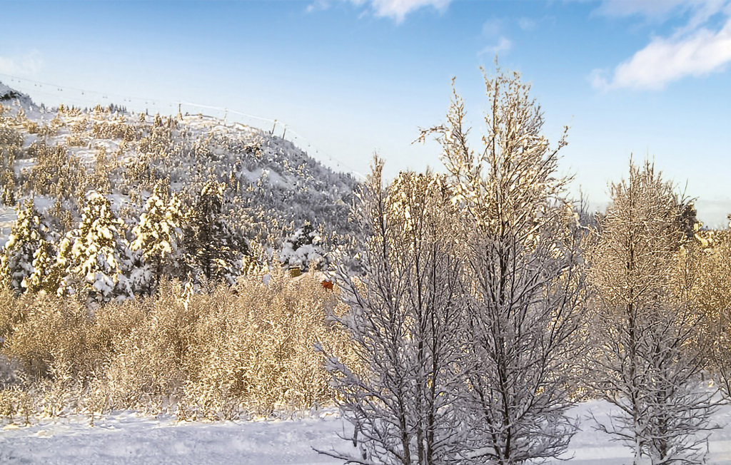 Semesterhus - Gålå , Norge - N31212 18