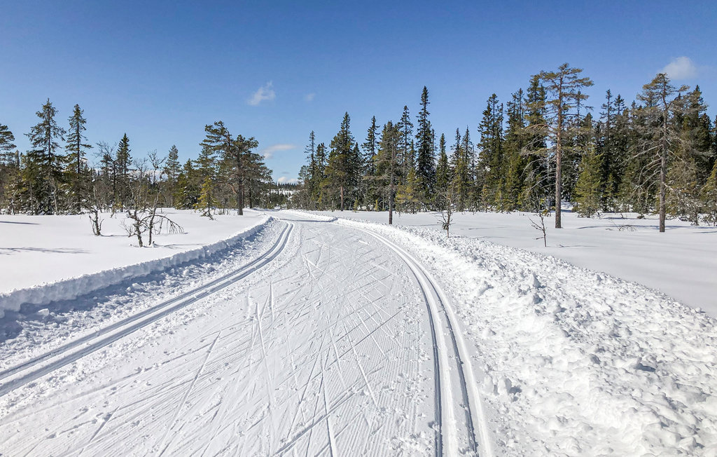 Feriehuse - Lygna , Norge - N31218 6