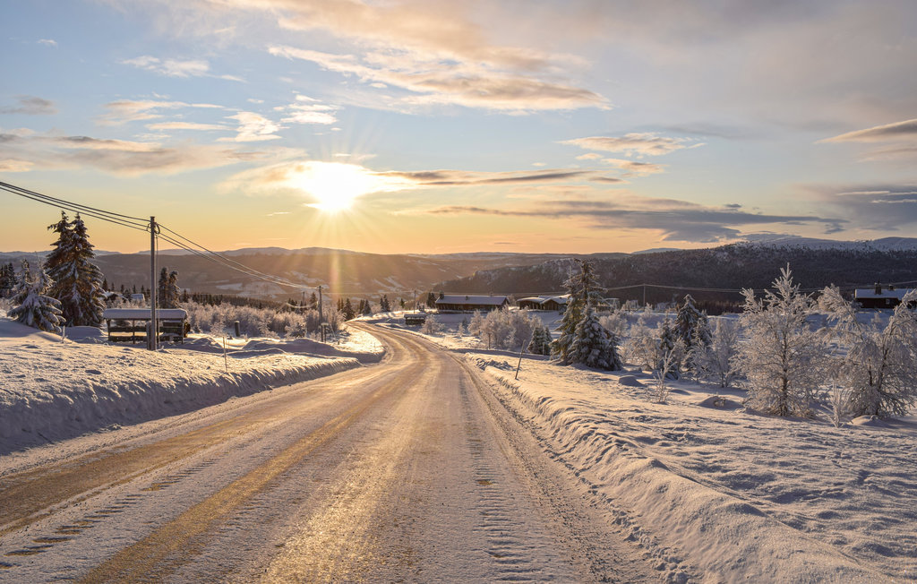 Ferienhaus - Venabygdsfjellet/Ringebu , Norwegen - N31355 22