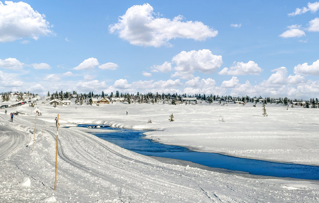 Ferienwohnung - Sjusjøen , Norwegen - N31561 2