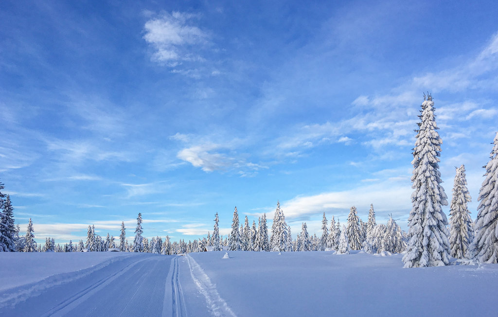 Feriehuse - Nordseter/Lillehammer/Sjusjøen , Norge - N31848 29
