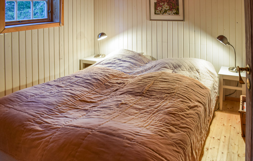 Feriehuse - Sjusjøen , Norge - N31882 13