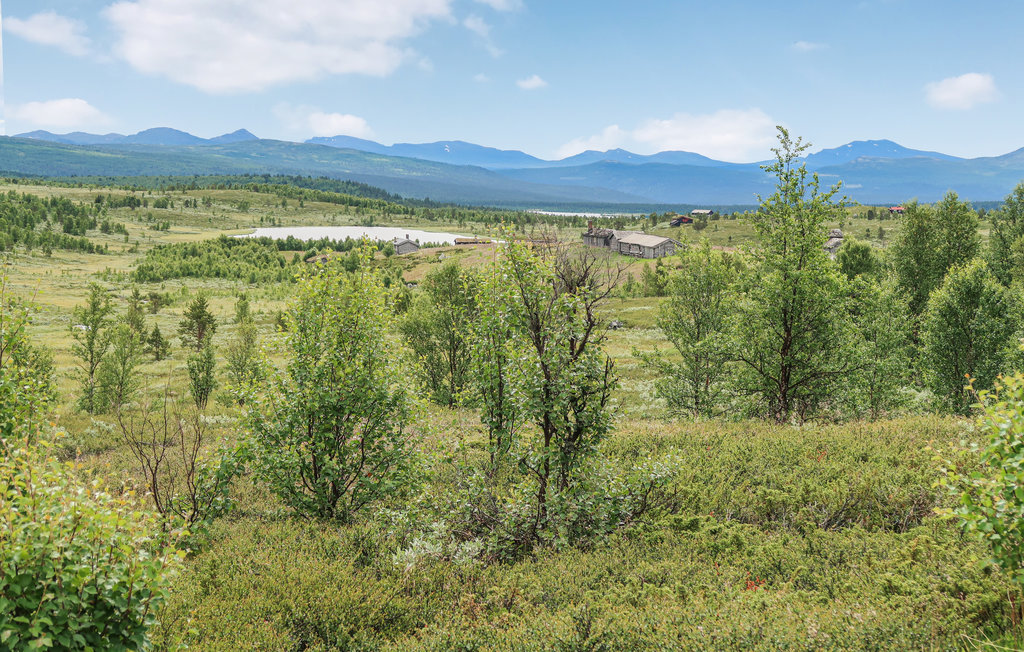 Feriehuse - Bakketun Heidal , Norge - N31130 36