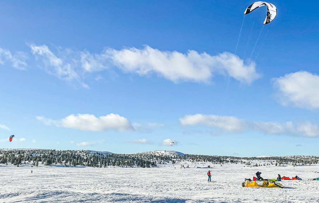 Ferienwohnung - Sjusjøen , Norwegen - N31561 13