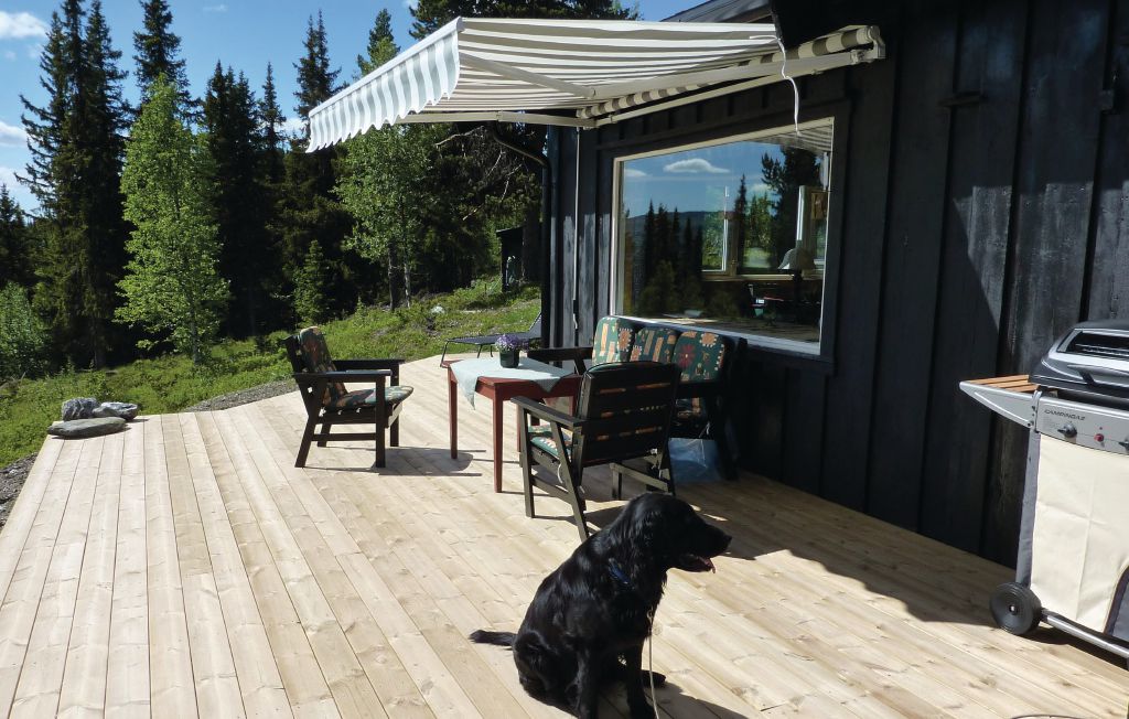 Semesterhus - Vinstra/Fefor , Norge - N31215 13