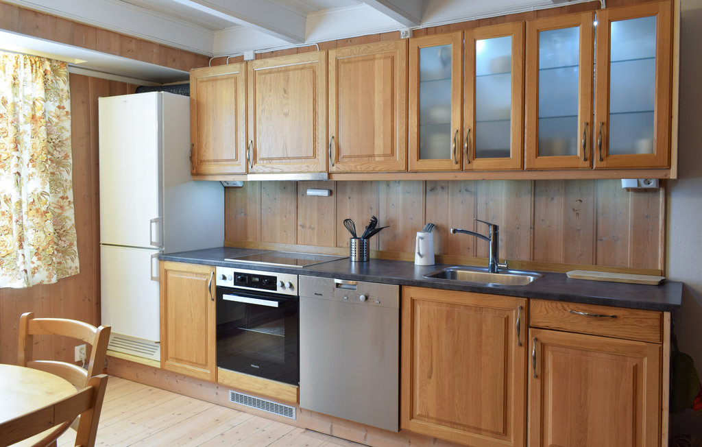 Feriehus - Randsfjorden/Ringelia , Norge - N31204 5