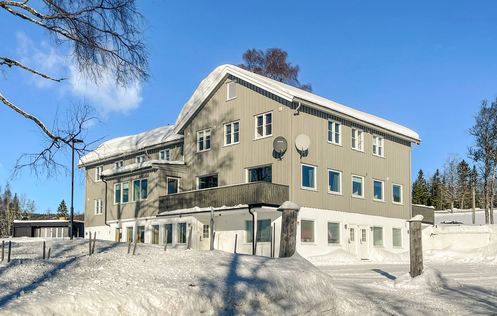 Ferienwohnung - Sjusjøen , Norwegen - N31561 1