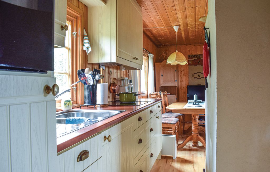 Feriehuse - Sjusjøen , Norge - N31923 10