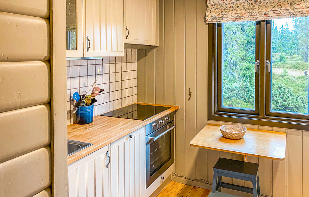 Feriehuse - Sjusjøen , Norge - N31929 10