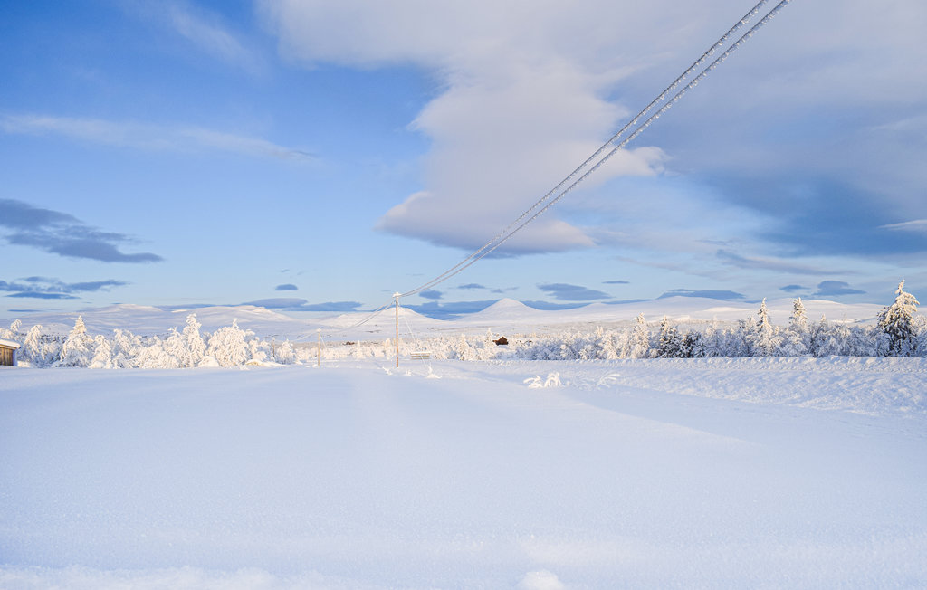 Ferienhaus - Venabygdsfjellet/Ringebu , Norwegen - N31355 20