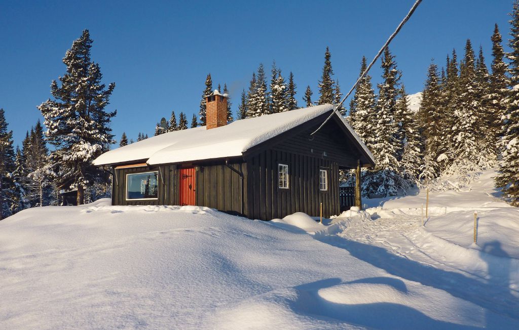Semesterhus - Vinstra/Fefor , Norge - N31215 5