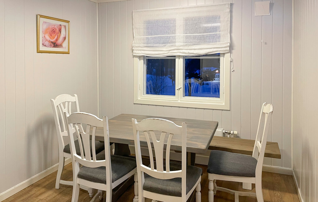 Ferienwohnung - Sjusjøen , Norwegen - N31561 8