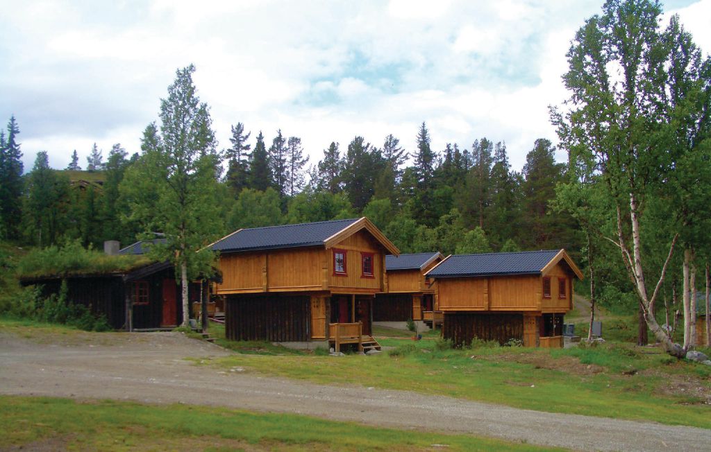 Feriehuse - Ringebu , Norge - N31861 4