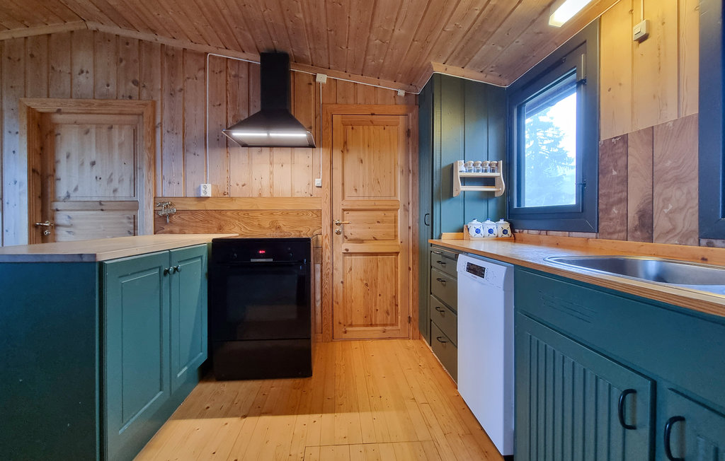 Feriehus - Sjusjøen , Norge - N31880 5