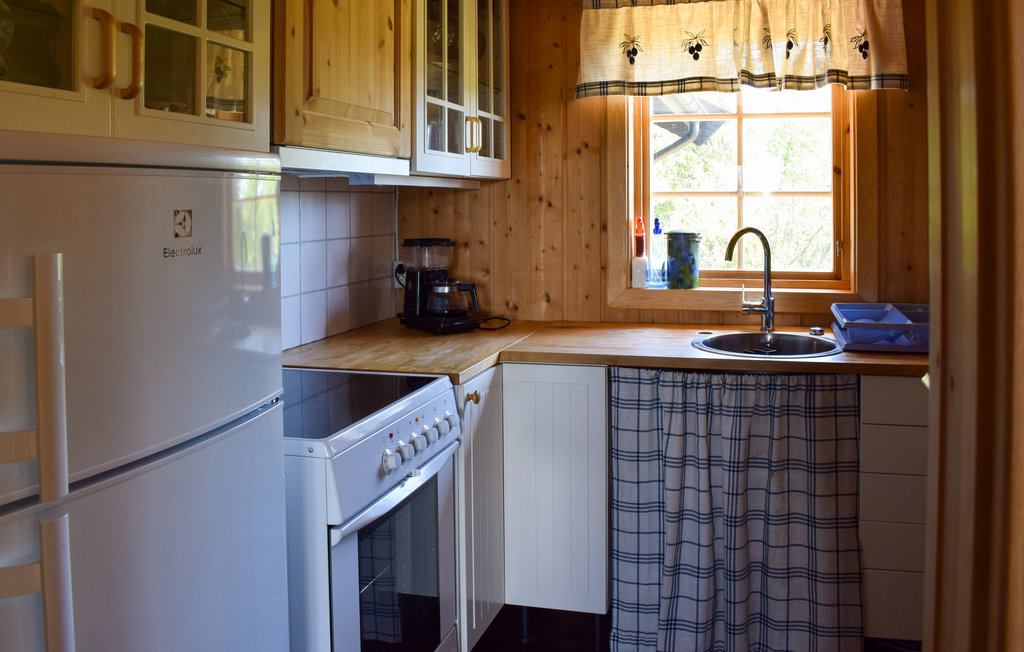 Ferienhaus - Nord Torpa , Norwegen - N31610 11