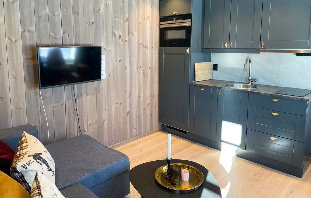 Ferienwohnung - Hafjell , Norwegen - N31622 6