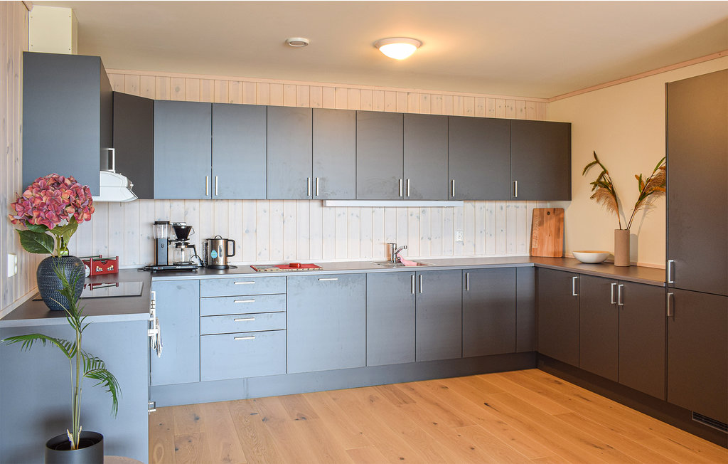 Ferienwohnung - Sjusjøen , Norwegen - N31884 6