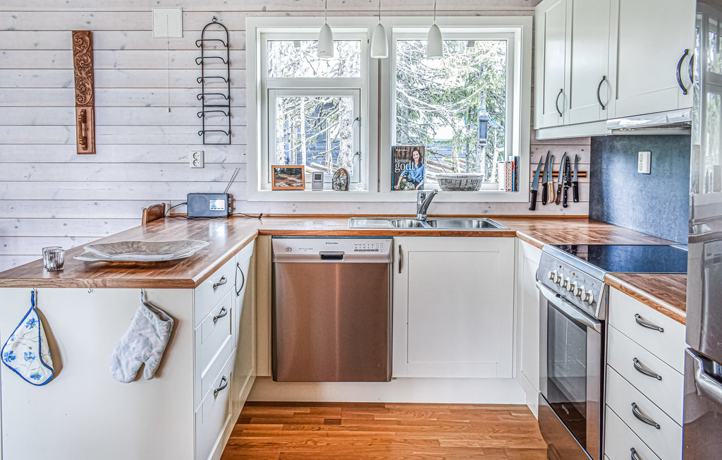 Feriehuse - Sjusjøen , Norge - N31916 3