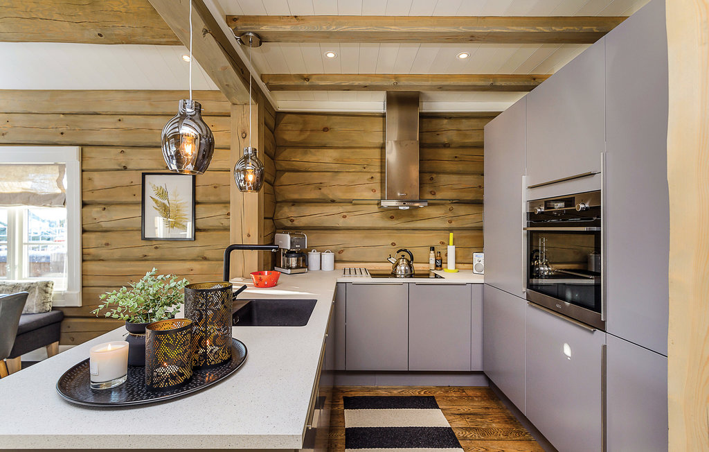 Feriehuse - Sjusjøen , Norge - N31990 6