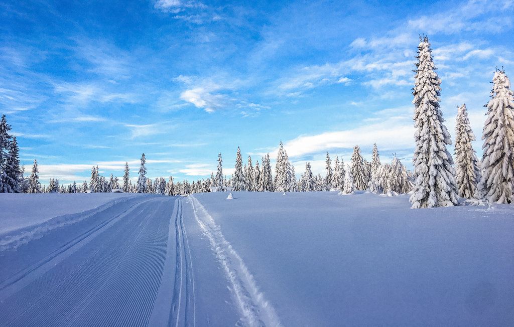 Lejlighed - Sjusjøen , Norge - N31876 6