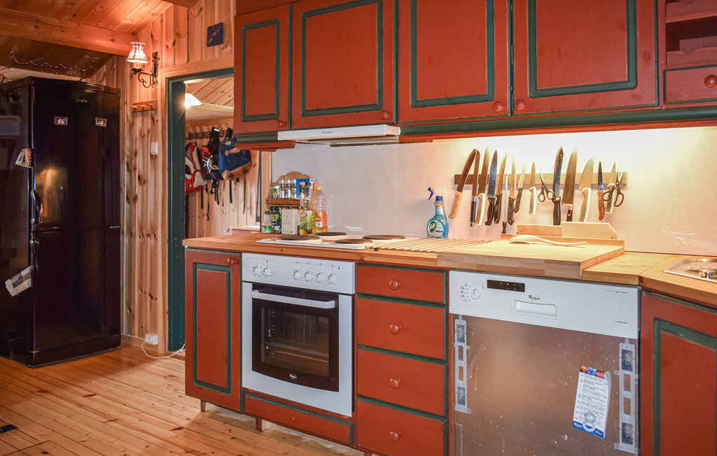 Ferienhaus - Venabygdsfjellet/Ringebu , Norwegen - N31355 11