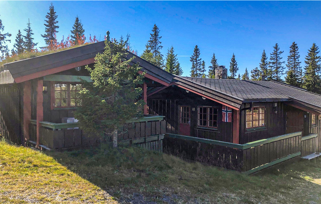 Feriehuse - Sjusjøen , Norge - N31843 8