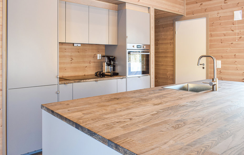 Feriehuse - Nordseter/Lillehammer/Sjusjøen , Norge - N31921 7