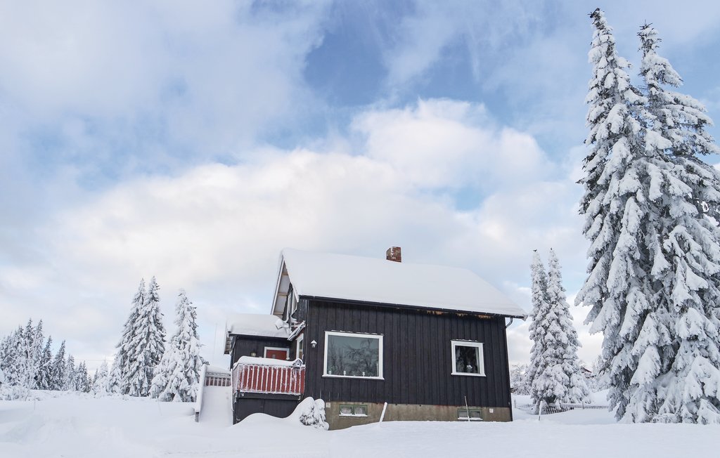 Feriehuse - Sjusjøen , Norge - N31956 4