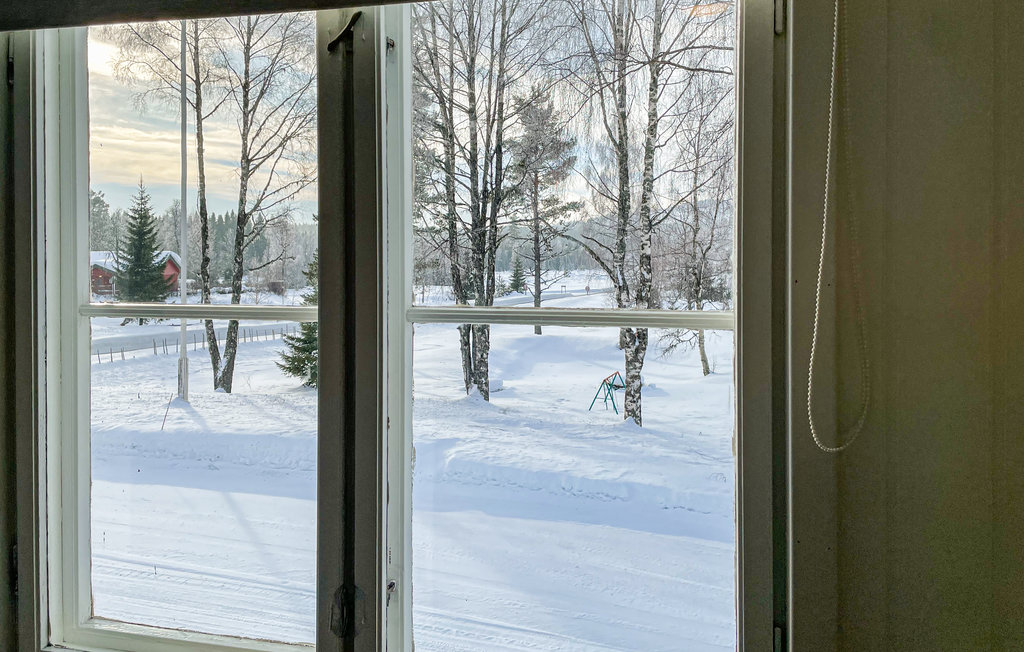 Ferienwohnung - Sjusjøen , Norwegen - N31561 10