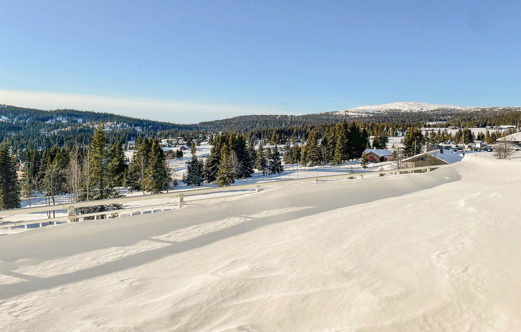 Ferienwohnung - Nordseter/Lillehammer/Sjusjøen , Norwegen - N31830 13