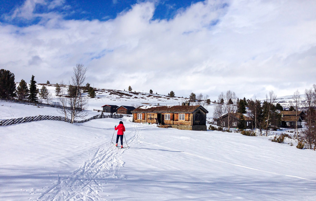 Feriehuse - Rondane/Nord-Fron , Norge - N31366 9